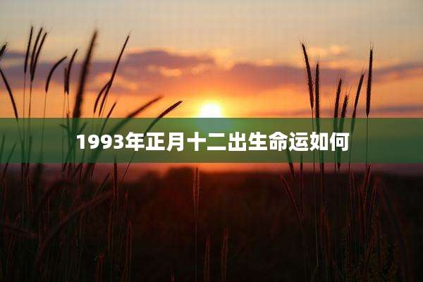 1993年正月十二出生命运如何