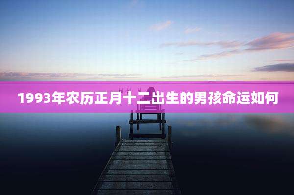 1993年农历正月十二出生的男孩命运如何
