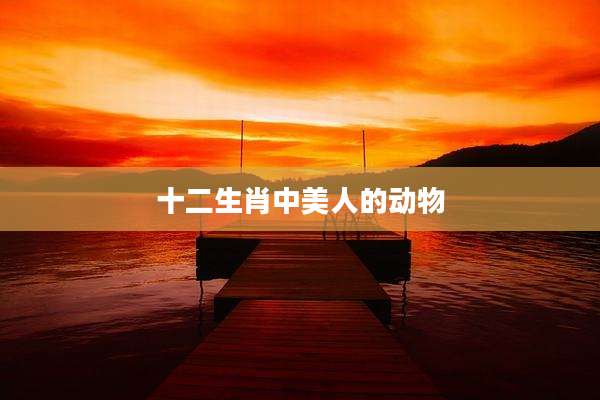 十二生肖中美人的动物