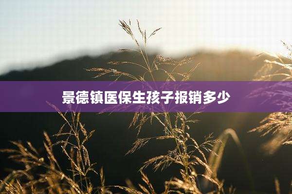 景德镇医保生孩子报销多少