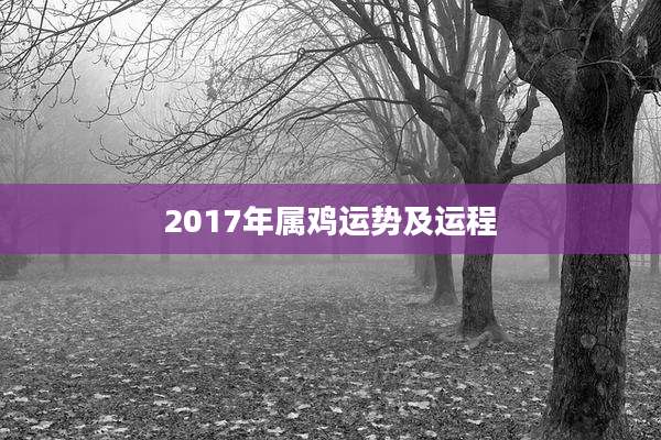 2017年属鸡运势及运程