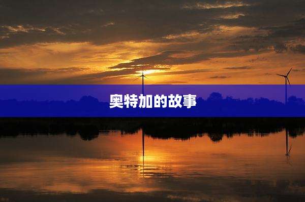 奥特加的故事