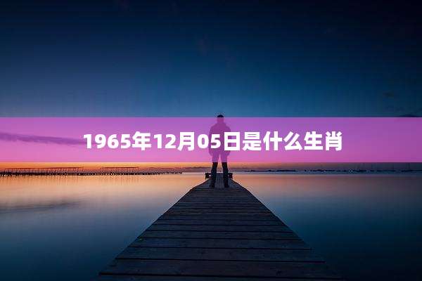1965年12月05日是什么生肖
