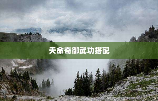 天命奇御武功搭配