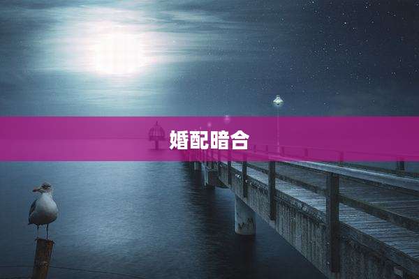婚配暗合