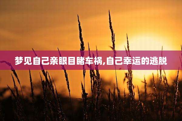 梦见自己亲眼目睹车祸,自己幸运的逃脱