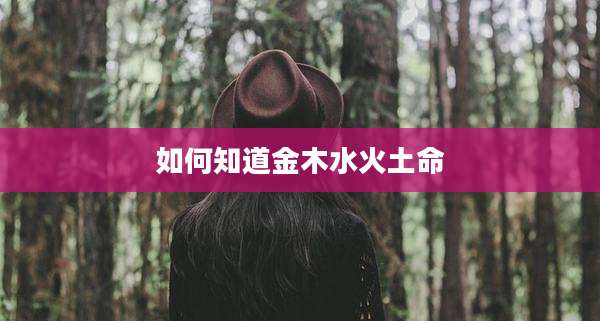 如何知道金木水火土命