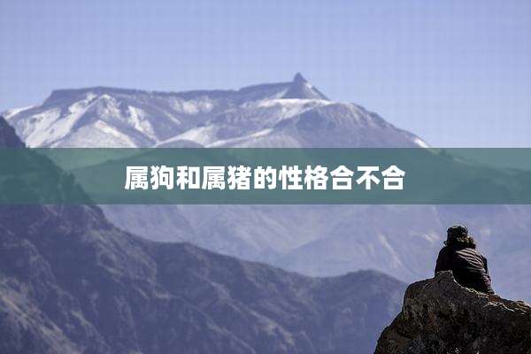 属狗和属猪的性格合不合