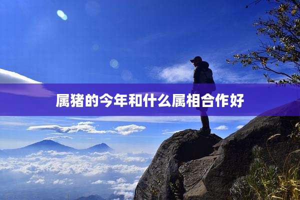 属猪的今年和什么属相合作好