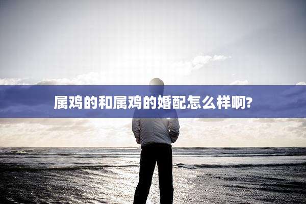 属鸡的和属鸡的婚配怎么样啊?