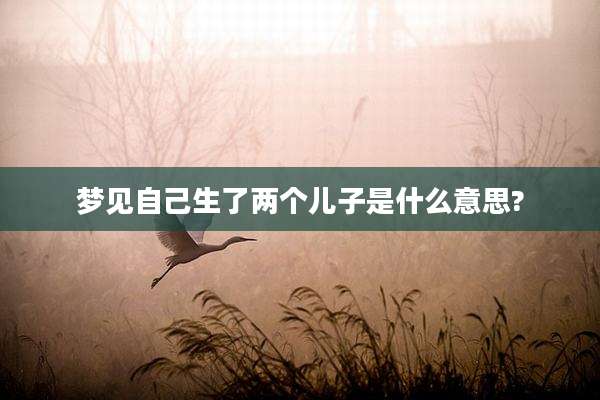 梦见自己生了两个儿子是什么意思?