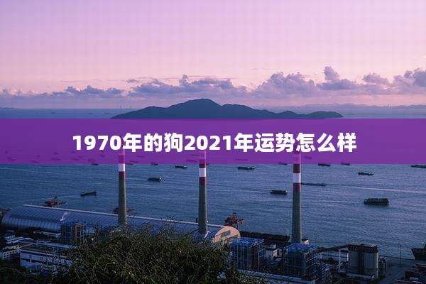 1970年的狗2021年运势怎么样
