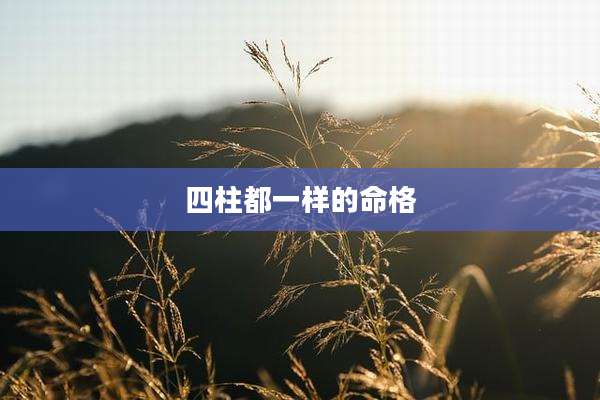 四柱都一样的命格