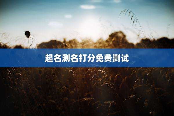 起名测名打分免费测试