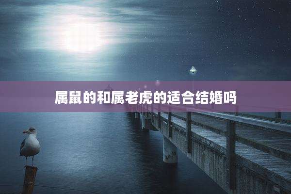 属鼠的和属老虎的适合结婚吗