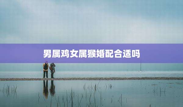 男属鸡女属猴婚配合适吗