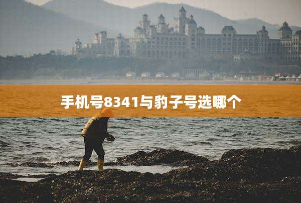 手机号8341与豹子号选哪个