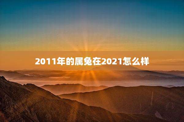 2011年的属兔在2021怎么样