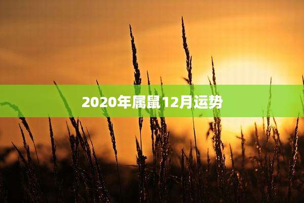 2020年属鼠12月运势