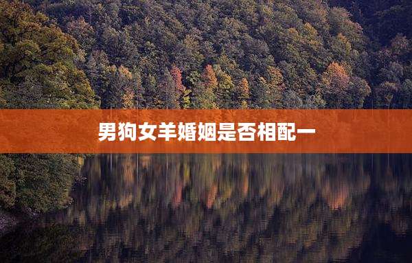 男狗女羊婚姻是否相配一