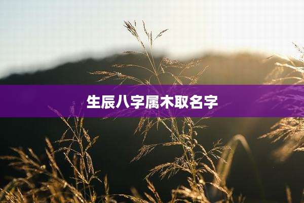 生辰八字属木取名字