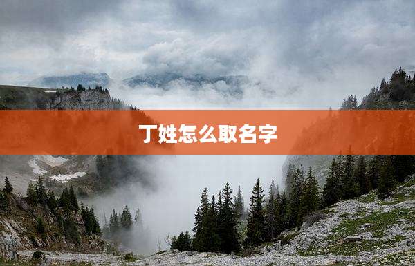 丁姓怎么取名字
