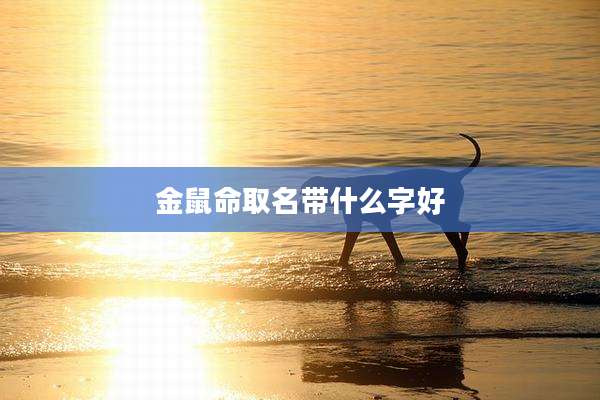 金鼠命取名带什么字好