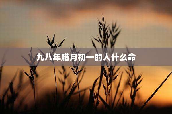 九八年腊月初一的人什么命