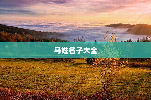 马姓名子大全