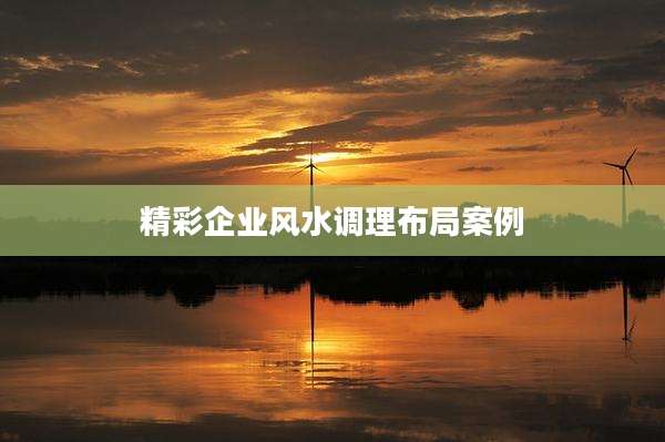 精彩企业风水调理布局案例