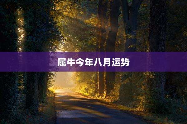 属牛今年八月运势