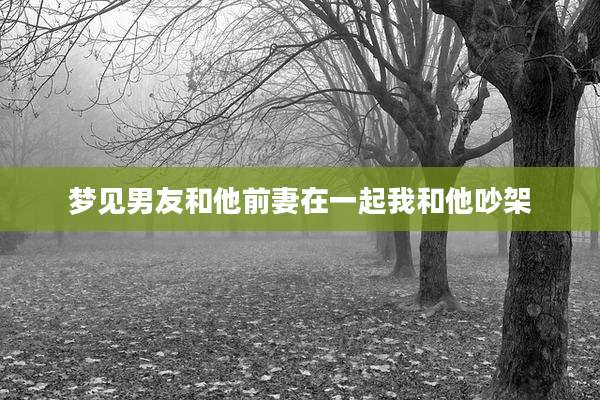 梦见男友和他前妻在一起我和他吵架