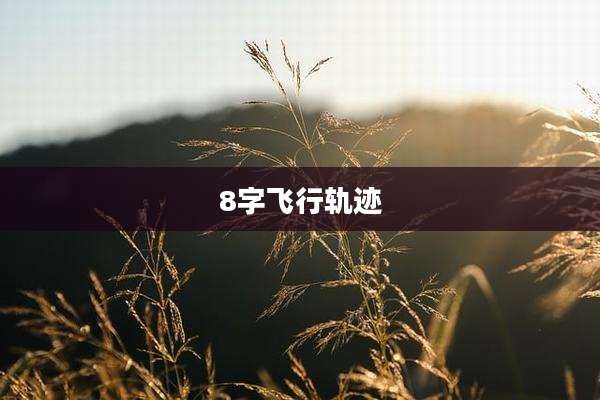 8字飞行轨迹