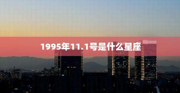 1995年11.1号是什么星座