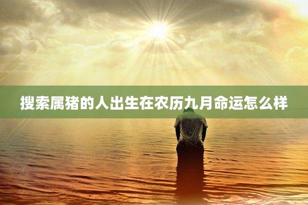 搜索属猪的人出生在农历九月命运怎么样