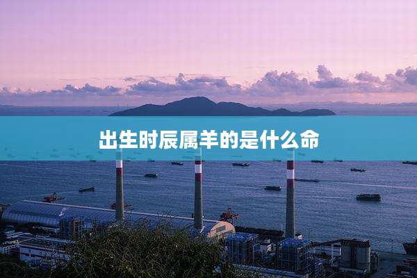 出生时辰属羊的是什么命