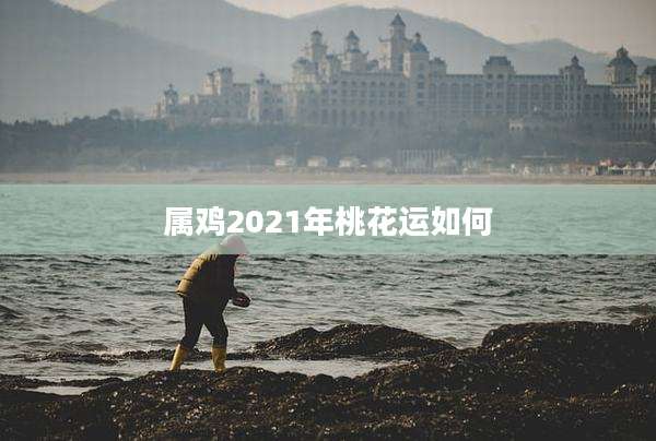 属鸡2021年桃花运如何