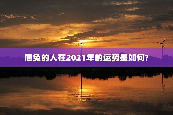 属兔的人在2021年的运势是如何?