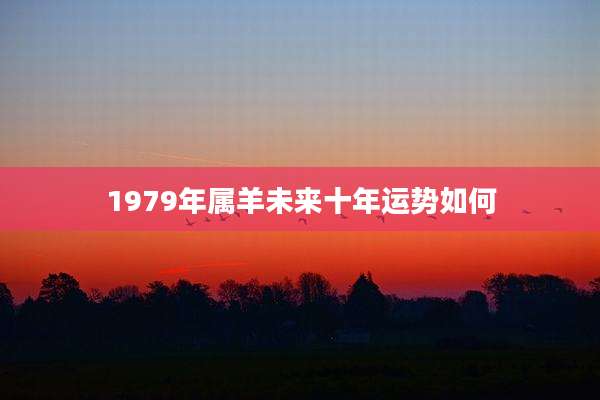 1979年属羊未来十年运势如何