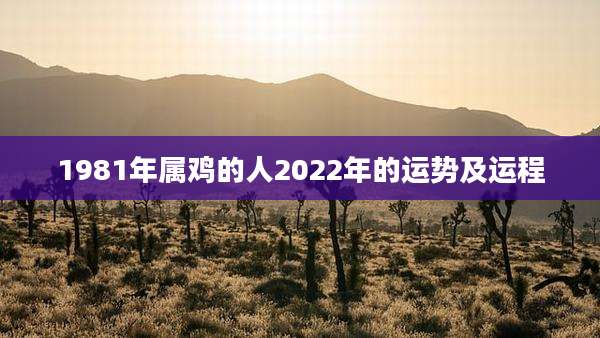 1981年属鸡的人2022年的运势及运程