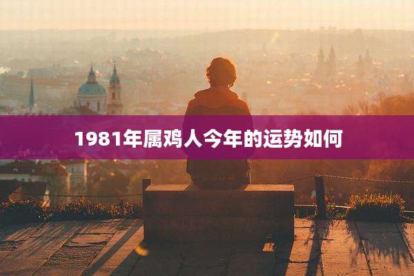 1981年属鸡人今年的运势如何