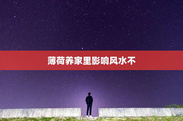 薄荷养家里影响风水不