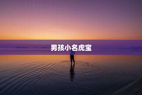 男孩小名虎宝
