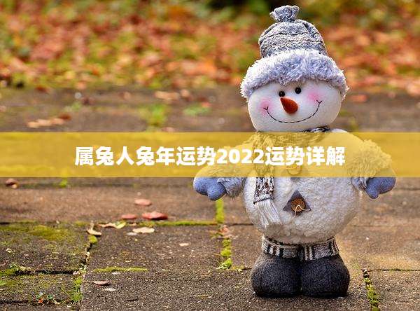 属兔人兔年运势2022运势详解