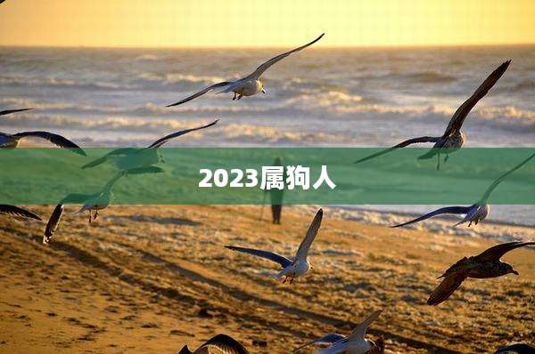 2023属狗人