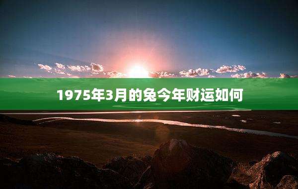1975年3月的兔今年财运如何