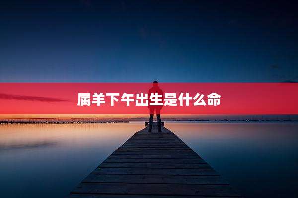属羊下午出生是什么命