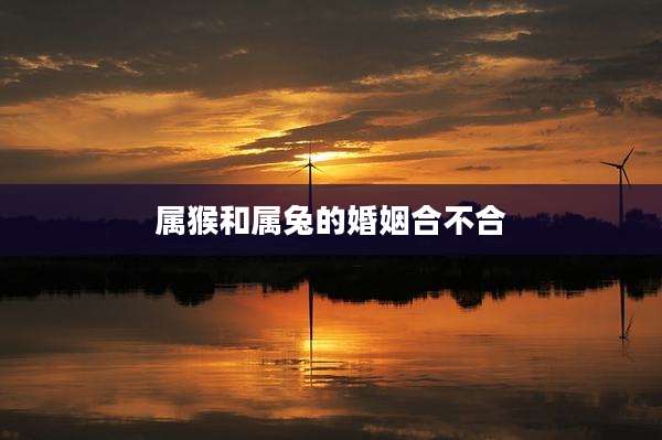 属猴和属兔的婚姻合不合