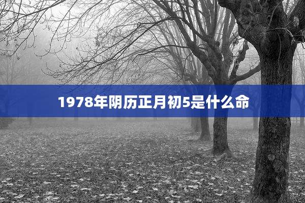 1978年阴历正月初5是什么命