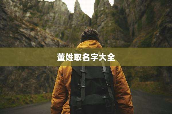 董姓取名字大全